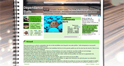 Desktop Screenshot of bouillettes-dependance-baits.com